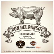 #9314 @ Run del Parsot (Domenica 3 Giugno 2018)